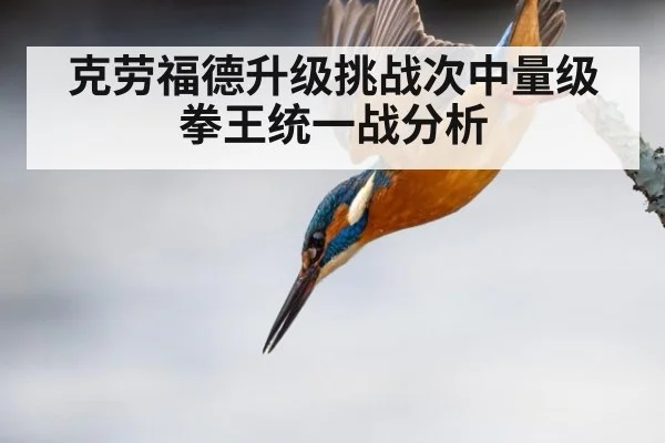 克劳福德升级挑战次中量级拳王统一战分析